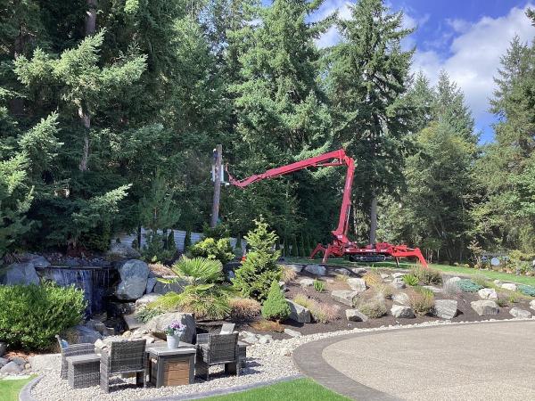 Williams Tree and Stump Removal LLC