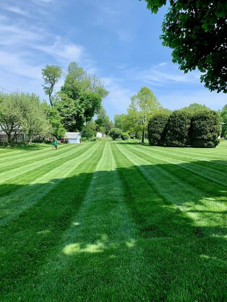 Lawn Stars LLC