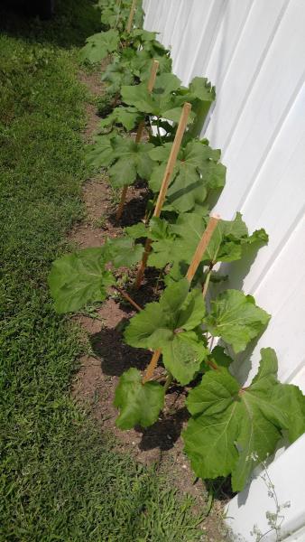 M K Landscaping LLC