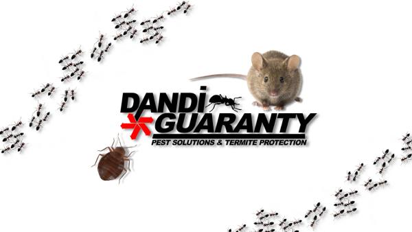 Dandi Guaranty Pest Solutions and Termite Protection