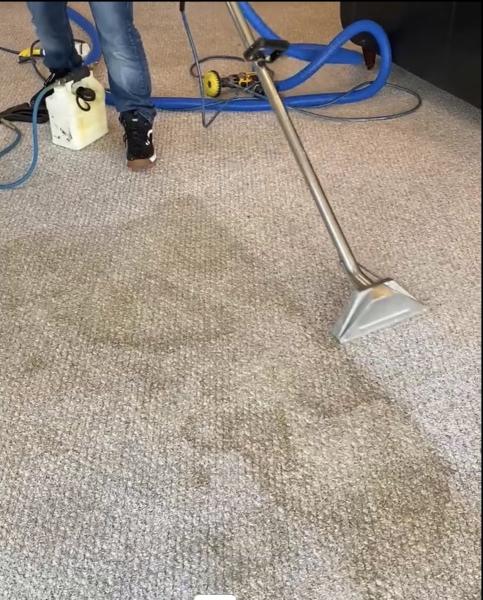 Davids Carpet and Upholstery Cleaning