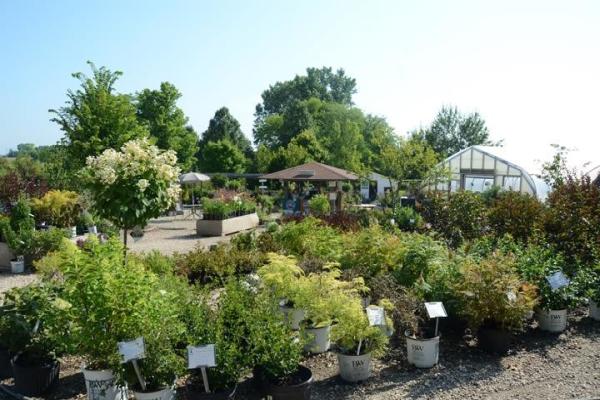 Spring Bluff Nursery