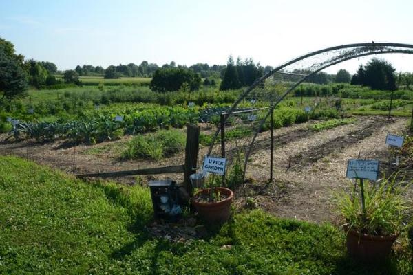 Spring Bluff Nursery