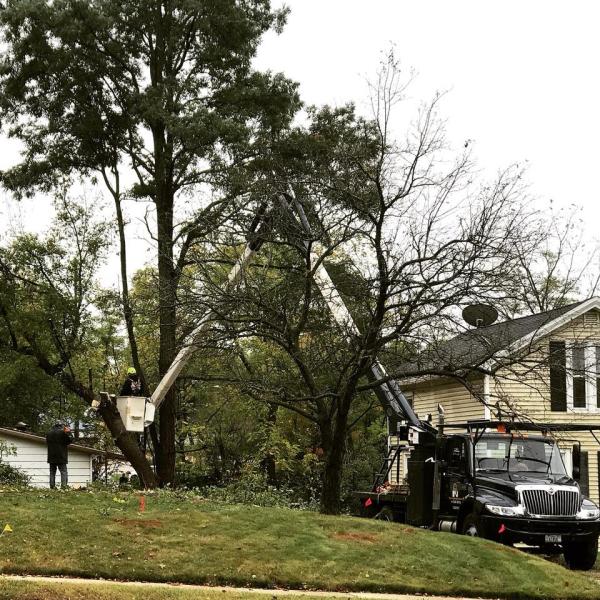 B & J Tree & Landscape Service