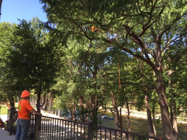 New Heights Tree Service Inc.