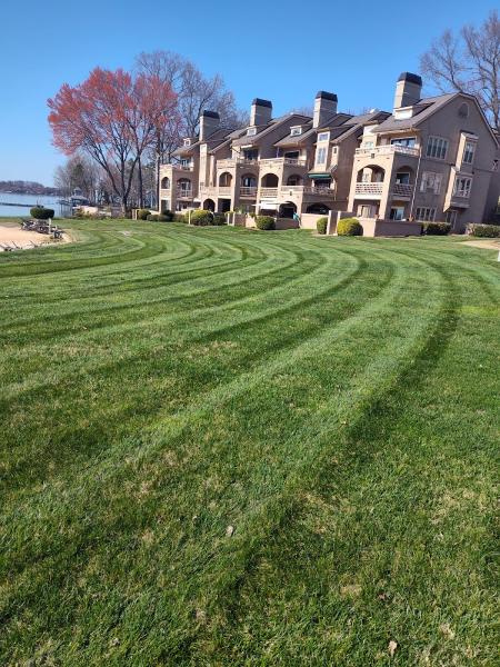 Wise Cut Landscaping LLC