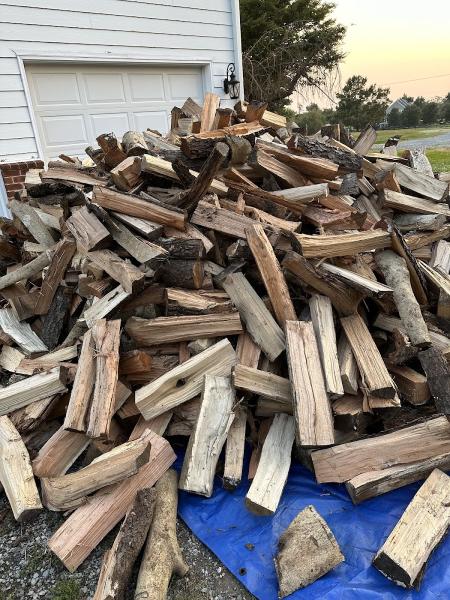 The Tree Surgeon LLC