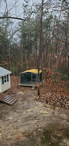 The Tree Surgeon LLC