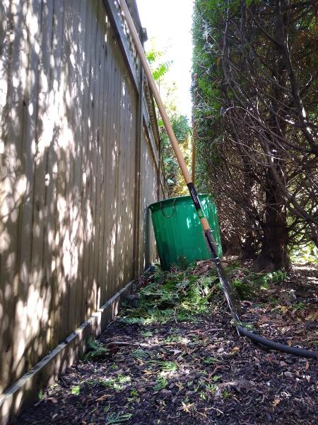 Federici Landscaping