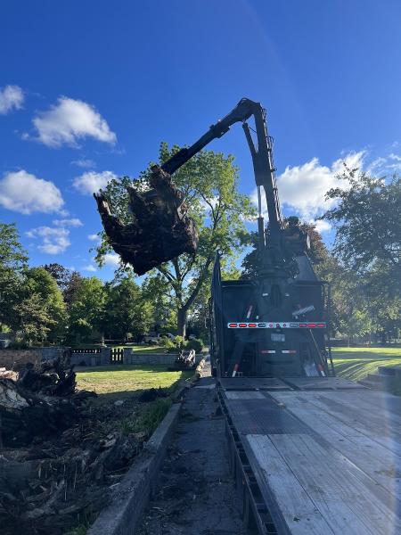 Meyer Tree Care LLC