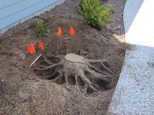 Southern Tree Services