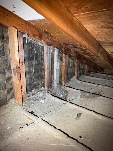 Level One Home Inspection