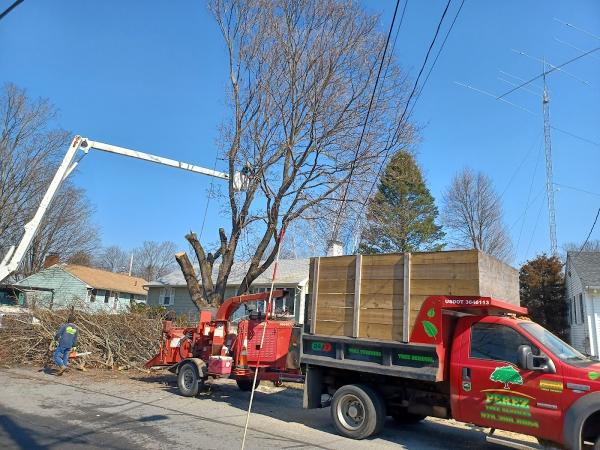 Perez Tree Service & Hardscaping