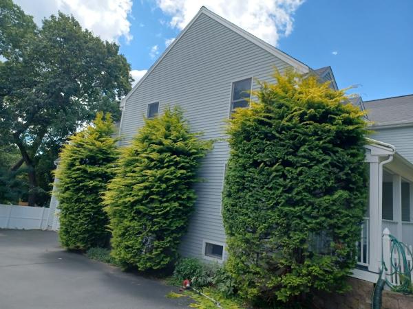 Perez Tree Service & Hardscaping