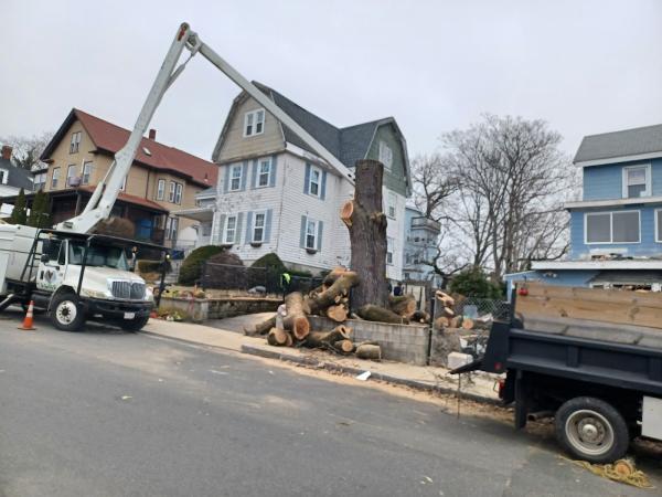 Perez Tree Service & Hardscaping
