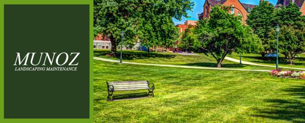 Munoz Lawn Maintenance