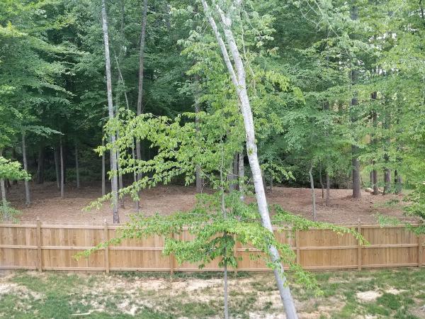 Carolina Mulching Co.