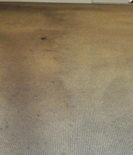 AMS Carpet Cleaning