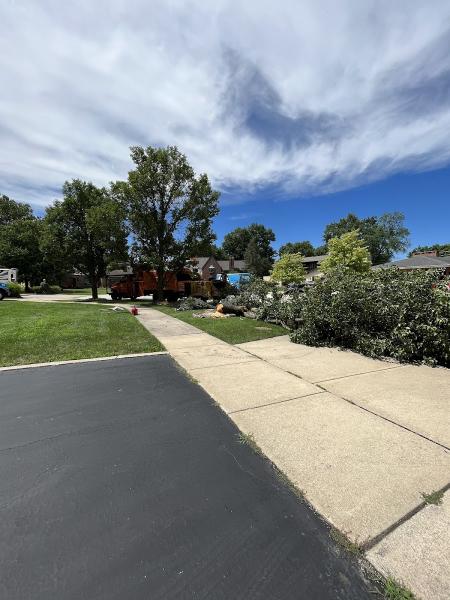 Howard's Tree Service & Stump Removal