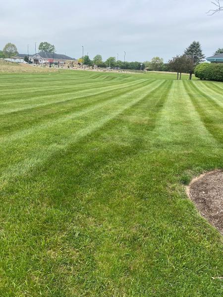 Amigos Lawncare