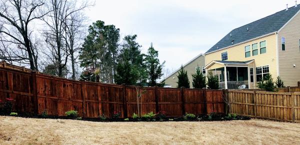 Carolina Garden Co
