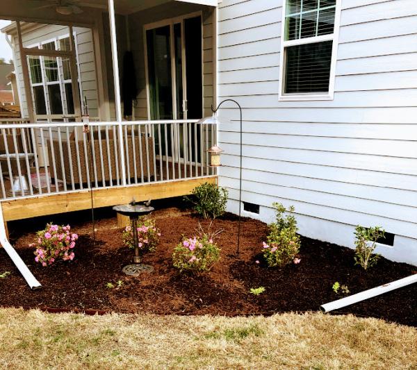 Carolina Garden Co