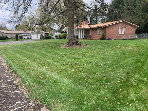 Lawn Rx