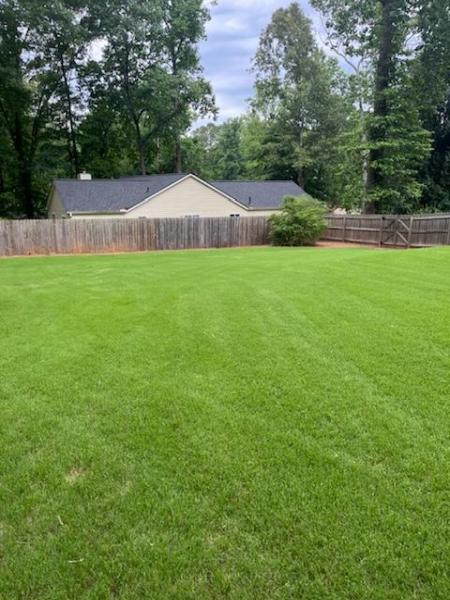 Weed Pro Lawn Care