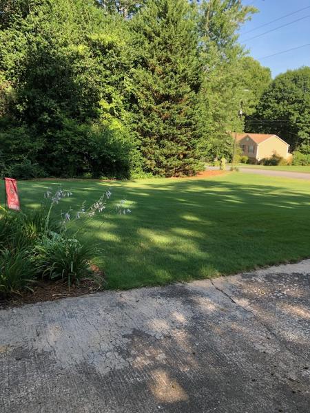 Weed Pro Lawn Care