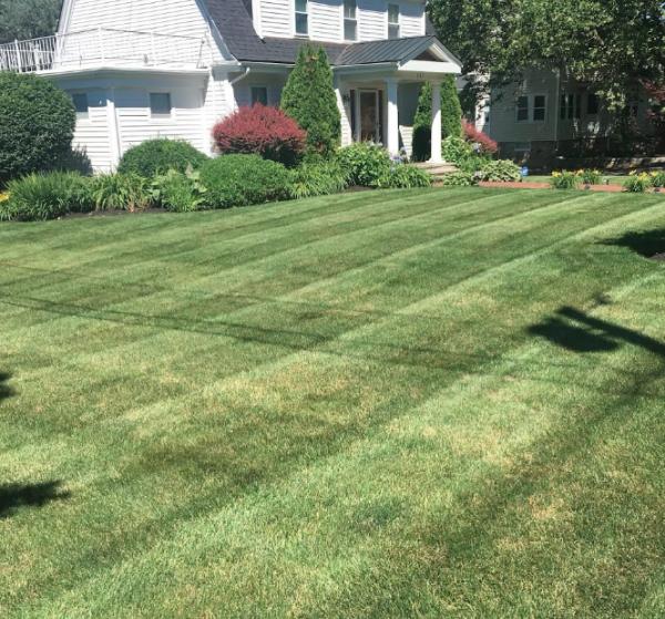 Newtown Landscaping Pro