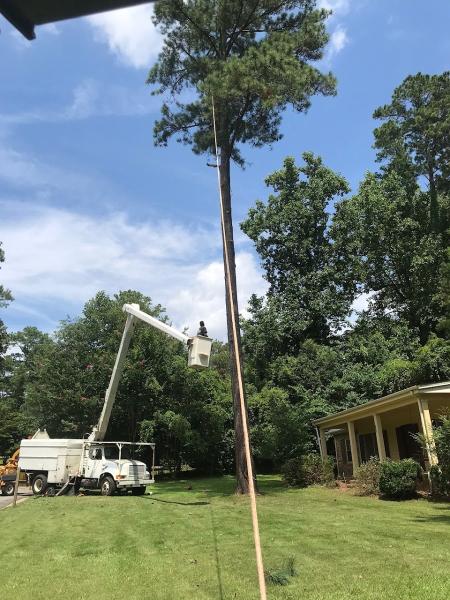 To Do Land Management