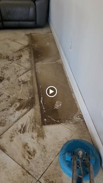 Expert Carpet Cleaning