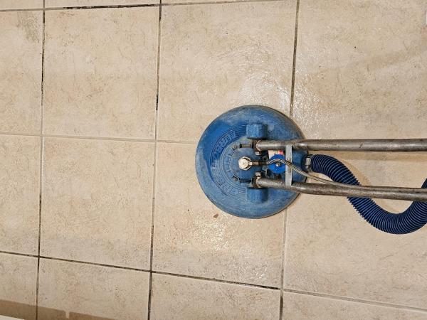 Expert Carpet Cleaning