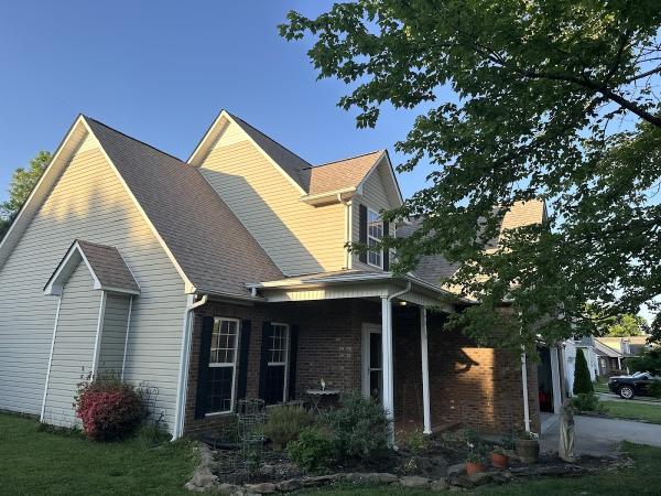 Blue Fox Roofing & Renovations