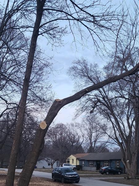 Everhart Tree Service