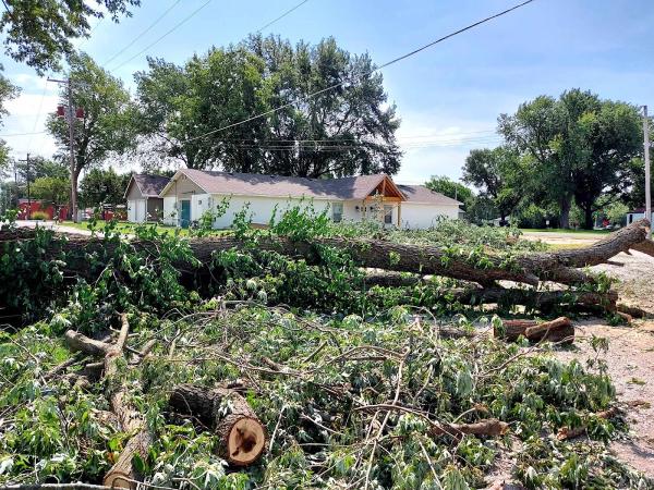 Everhart Tree Service