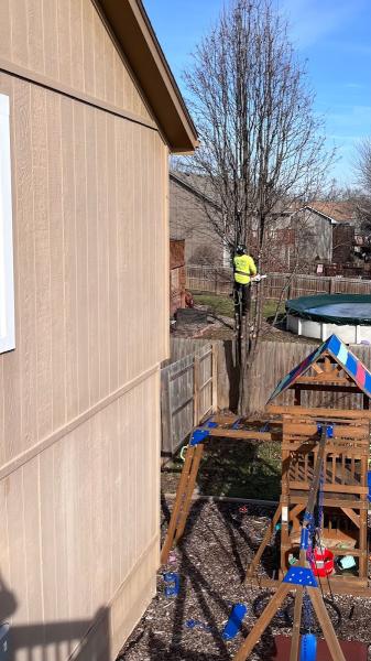 Everhart Tree Service