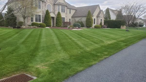 Integrity Lawncare & Landscape Llc