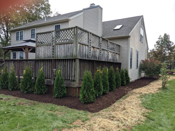 Integrity Lawncare & Landscape Llc