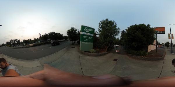 Kaleidoscope Inc. Landscapers