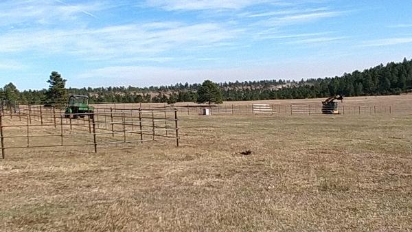 Bechen Fencing LLC