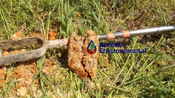 Accent Environmental LLC