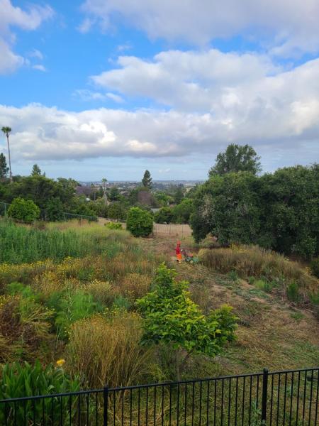Vista Valley Tree Service