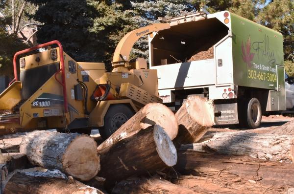 Fielding Tree Care