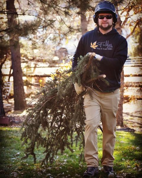 Fielding Tree Care