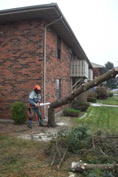 Tom's Tree Service LLC
