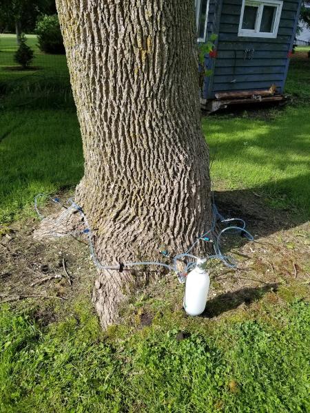 Tom's Tree Service LLC