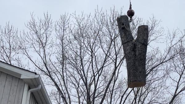 Grounds and Tree Care