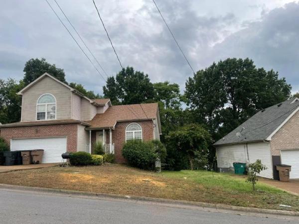 Grounds and Tree Care