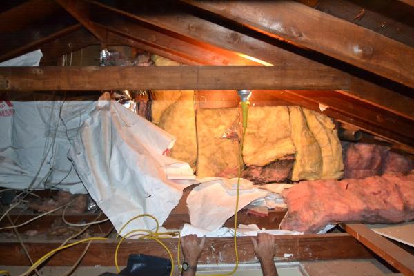 Turning Your Home Green